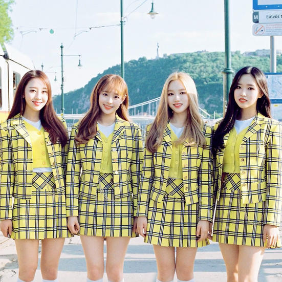 yyxy